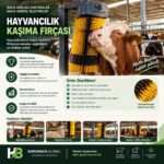 Kaşıma fırçası faydaları, ürün özellikleri ve kullanım alanları