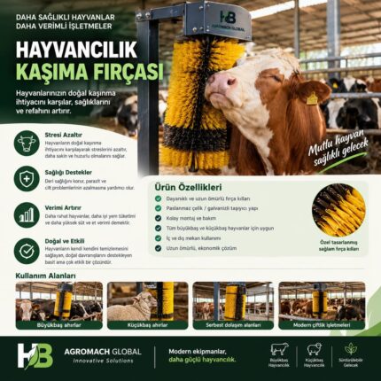 Kaşıma fırçası faydaları, ürün özellikleri ve kullanım alanları